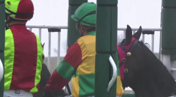 View video › View video ›