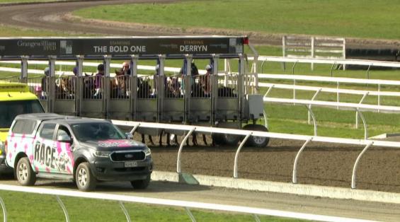 View video › View video ›