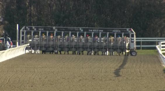 View video › View video ›