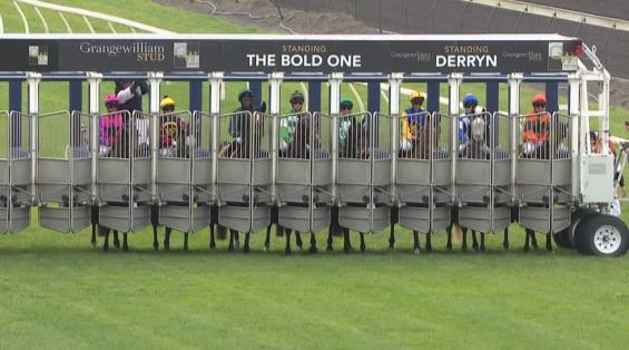 View video › View video ›