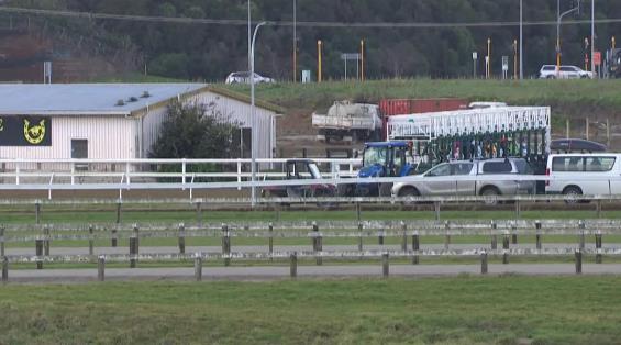 View video › View video ›