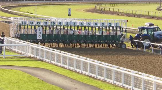 View video › View video ›