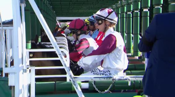 View video › View video ›