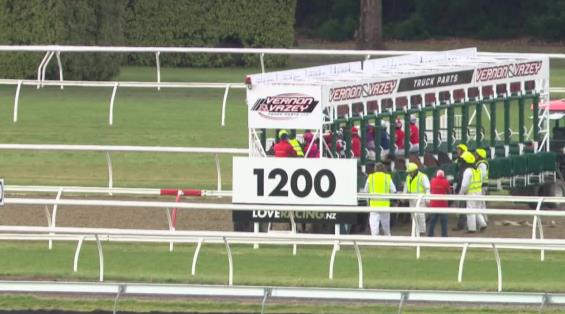 View video › View video ›