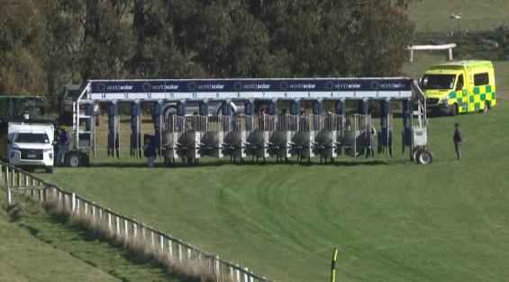 View video › View video ›