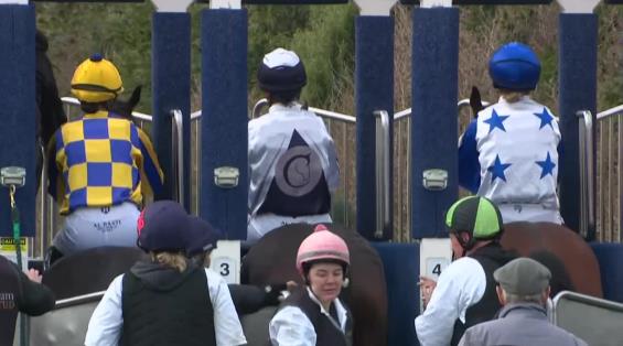 View video › View video ›