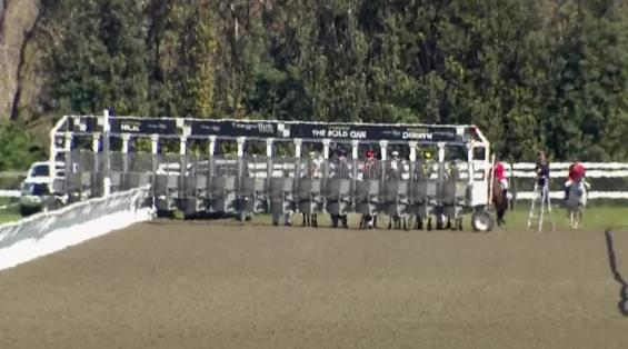 View video › View video ›