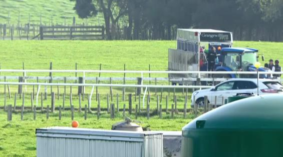 View video › View video ›