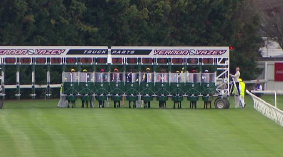 View video › View video ›