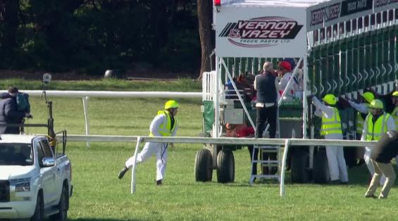 View video › View video ›