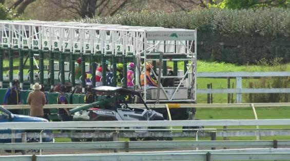 View video › View video ›