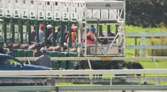 View video › View video ›