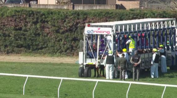 View video › View video ›