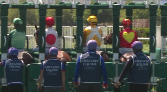 View video › View video ›