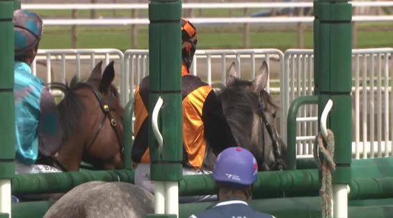 View video › View video ›