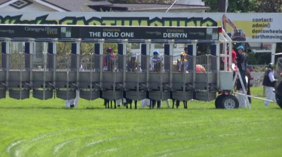 View video › View video ›