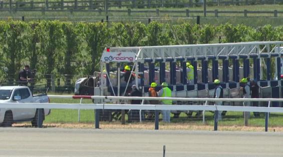 View video › View video ›