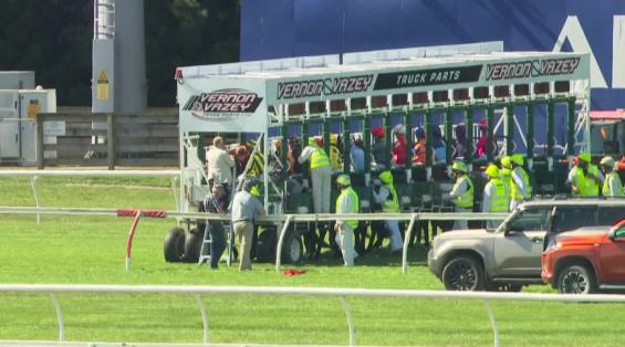 View video › View video ›