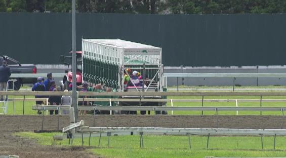 View video › View video ›