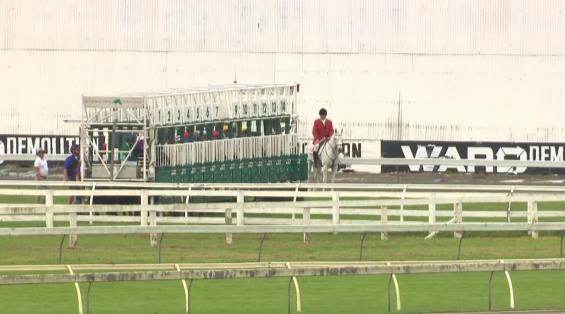 View video › View video ›