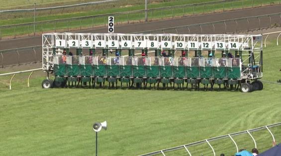 View video › View video ›