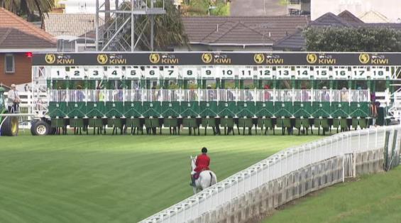 View video › View video ›