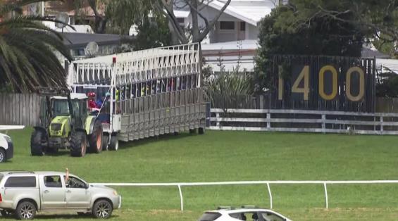 View video › View video ›