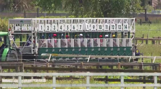 View video › View video ›