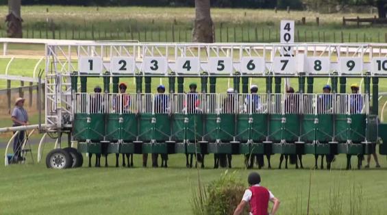 View video › View video ›