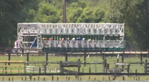 View video › View video ›