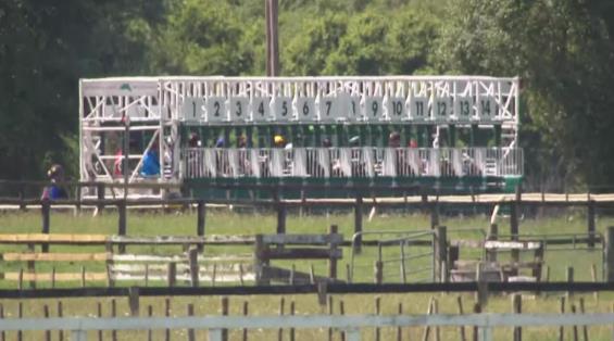 View video › View video ›