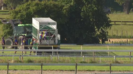 View video › View video ›