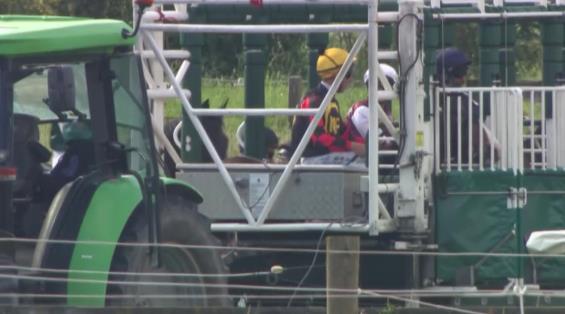 View video › View video ›