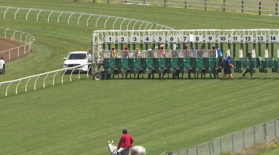 View video › View video ›