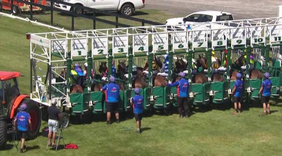 View video › View video ›