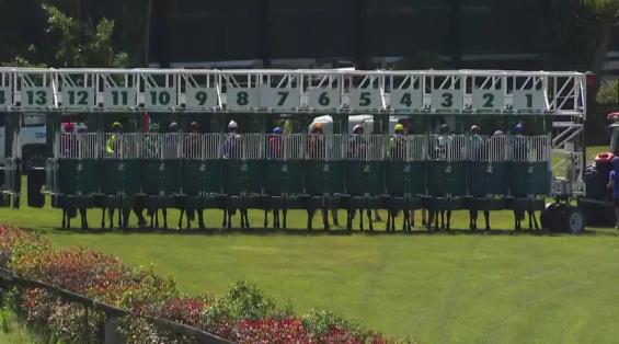 View video › View video ›