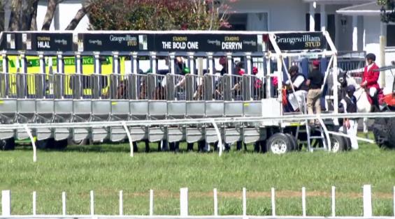 View video › View video ›