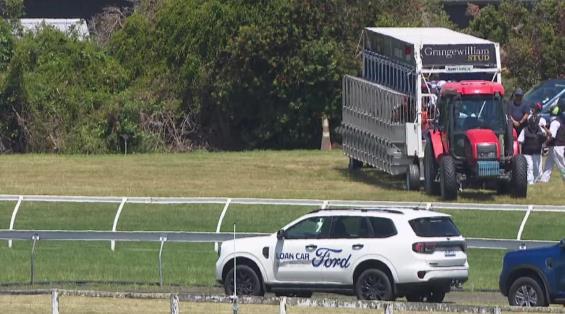 View video › View video ›