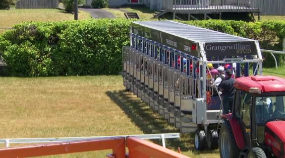 View video › View video ›