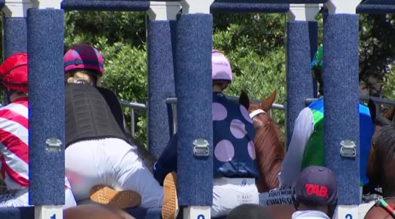 View video › View video ›