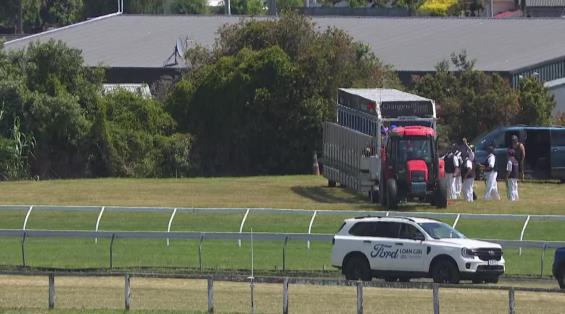 View video › View video ›