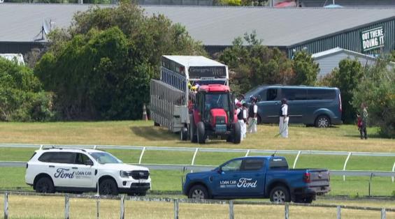 View video › View video ›