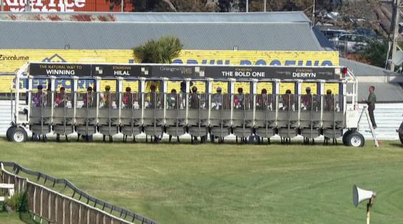 View video › View video ›