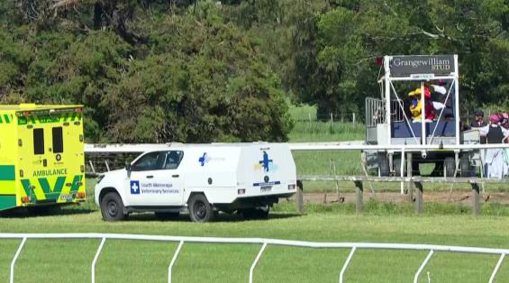 View video › View video ›