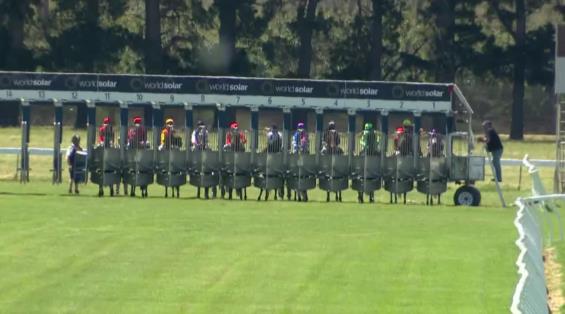 View video › View video ›