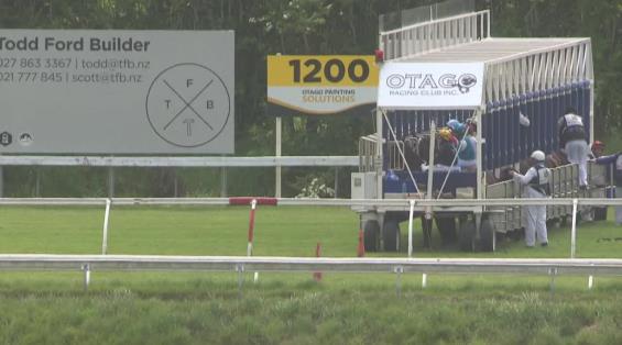 View video › View video ›