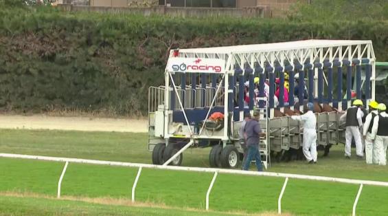 View video › View video ›