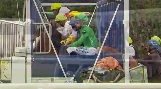 View video › View video ›