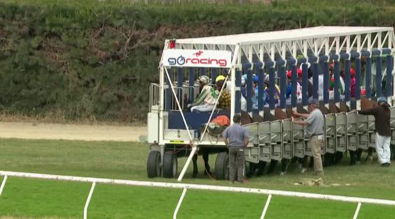 View video › View video ›