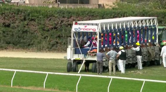 View video › View video ›